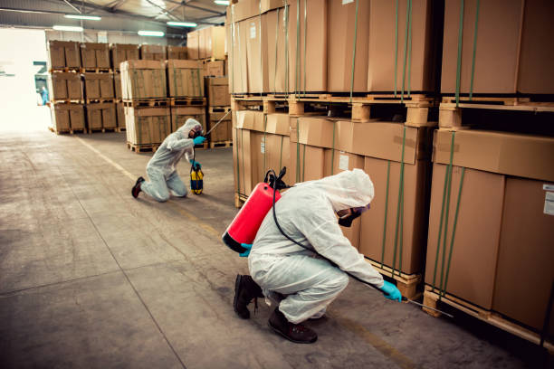 Trusted Lordship, CT Pest Control Experts