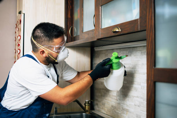 Best Mosquito Control Services  in Lordship, CT