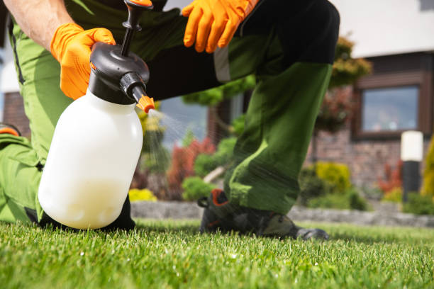 Flea Control Services in Lordship, CT