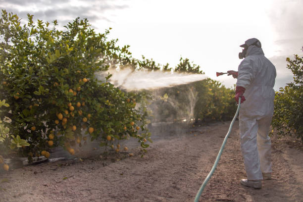 Best Exterminator Services  in Lordship, CT