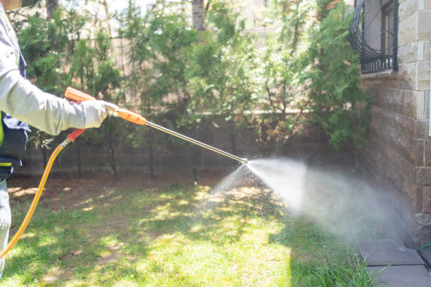Best Termite Control Services  in Lordship, CT