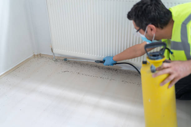 Best Pest Prevention Services  in Lordship, CT