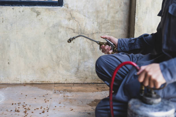 Best Commercial Pest Control Services  in Lordship, CT